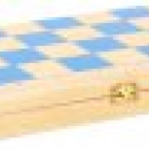6084 schach ritter d