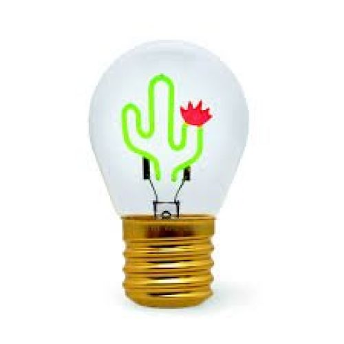bombilla cactus 3